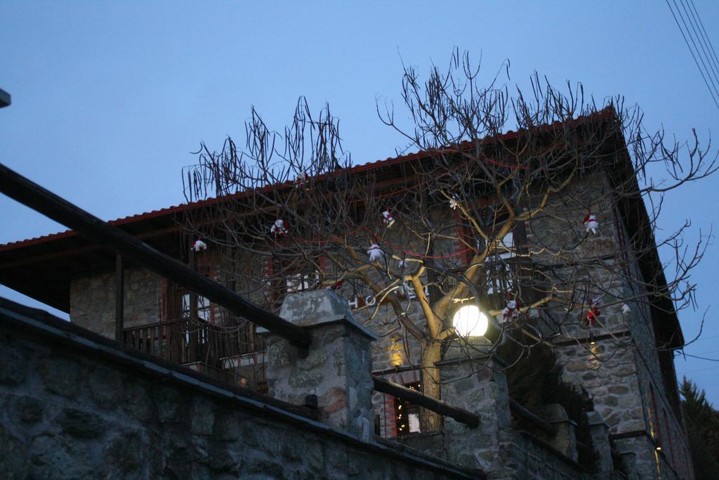 Varnous Hotel Agios Germanos Buitenkant foto